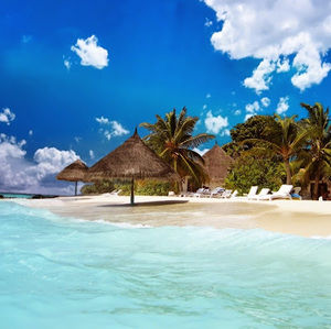 Meet your Posher, Emoke